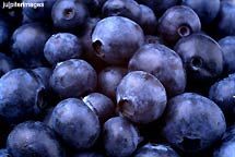 blueberries